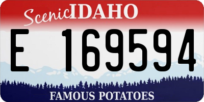 ID license plate E169594
