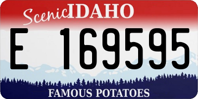 ID license plate E169595