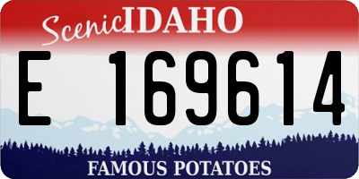 ID license plate E169614