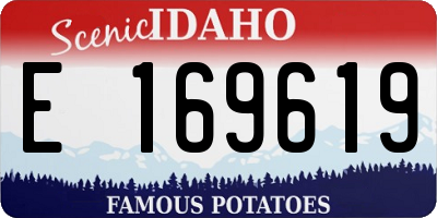 ID license plate E169619