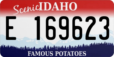 ID license plate E169623