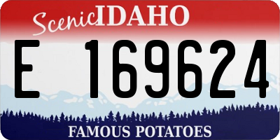 ID license plate E169624