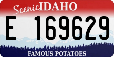ID license plate E169629