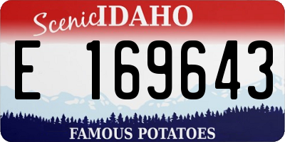 ID license plate E169643