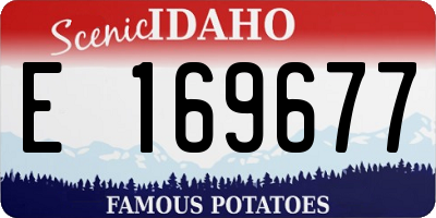 ID license plate E169677