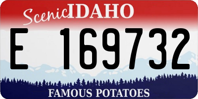ID license plate E169732