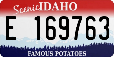 ID license plate E169763