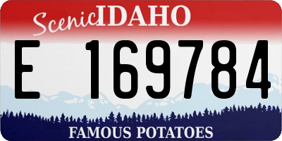 ID license plate E169784