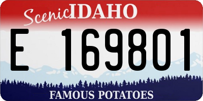 ID license plate E169801