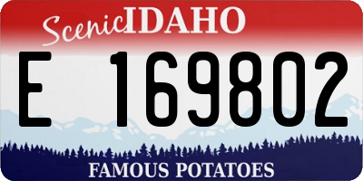 ID license plate E169802