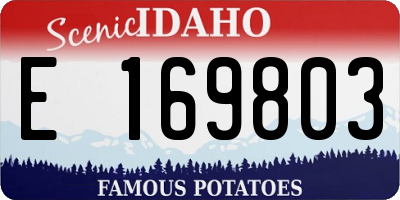 ID license plate E169803