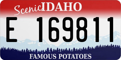 ID license plate E169811