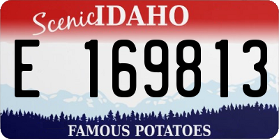 ID license plate E169813