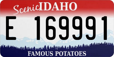 ID license plate E169991