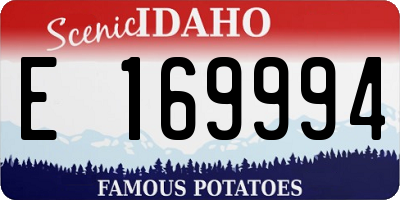 ID license plate E169994