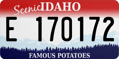 ID license plate E170172