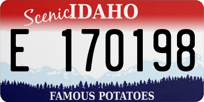 ID license plate E170198