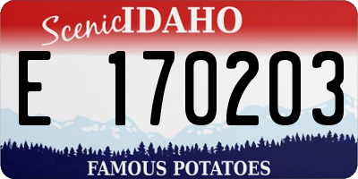 ID license plate E170203