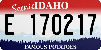 ID license plate E170217