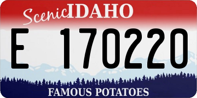 ID license plate E170220