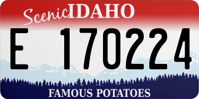 ID license plate E170224