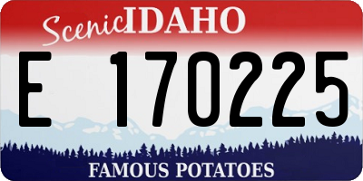 ID license plate E170225