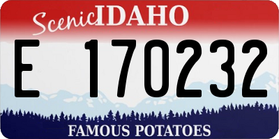 ID license plate E170232