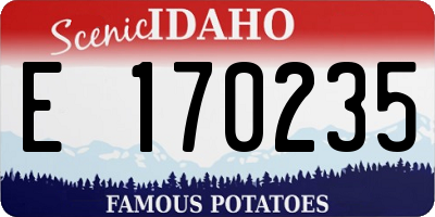 ID license plate E170235