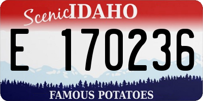 ID license plate E170236