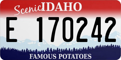 ID license plate E170242