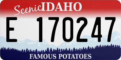 ID license plate E170247