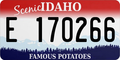 ID license plate E170266
