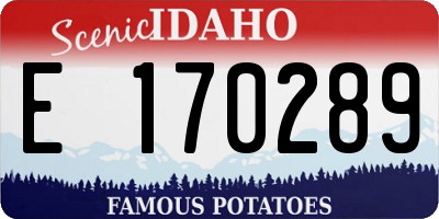 ID license plate E170289