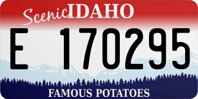 ID license plate E170295
