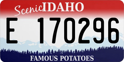 ID license plate E170296