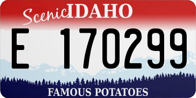 ID license plate E170299