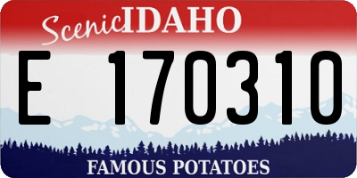 ID license plate E170310