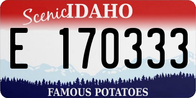 ID license plate E170333