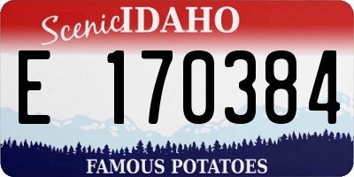 ID license plate E170384