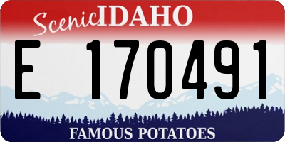 ID license plate E170491