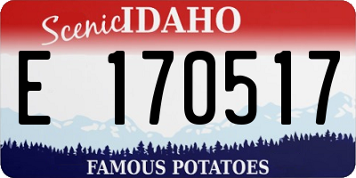 ID license plate E170517