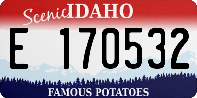 ID license plate E170532