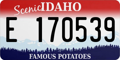 ID license plate E170539