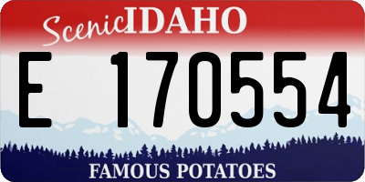 ID license plate E170554