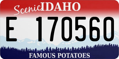 ID license plate E170560