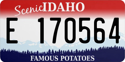 ID license plate E170564
