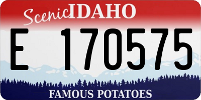 ID license plate E170575