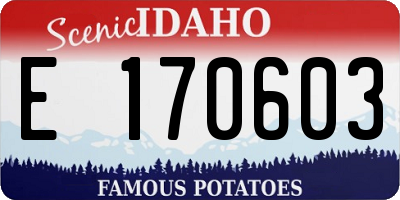 ID license plate E170603