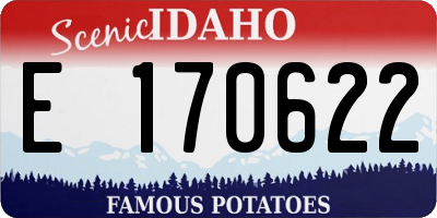 ID license plate E170622