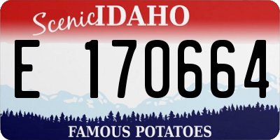 ID license plate E170664